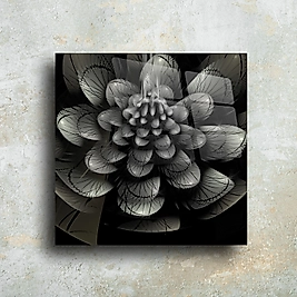 Minimalist Siyah-Beyaz Çiçek Cam Tablo | Modern Duvar Dekoru(m78)